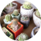 garden-2